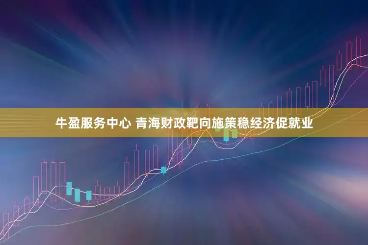 牛盈服务中心 青海财政靶向施策稳经济促就业