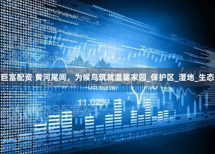 巨富配资 黄河尾闾，为候鸟筑就温馨家园_保护区_湿地_生态