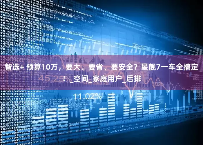 智选+ 预算10万，要大、要省、要安全？星舰7一车全搞定！_空间_家庭用户_后排