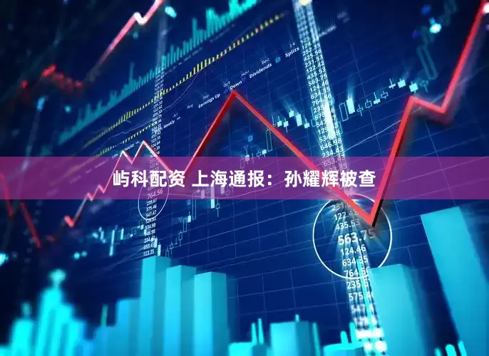 屿科配资 上海通报：孙耀辉被查